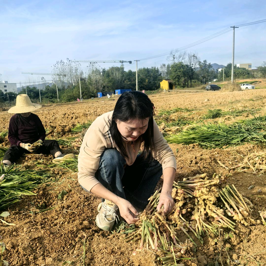 铜陵渔园渔娘（新农人）