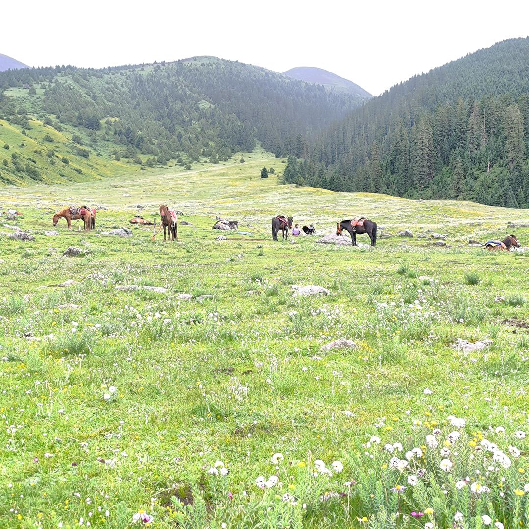 一直在路上（大校）