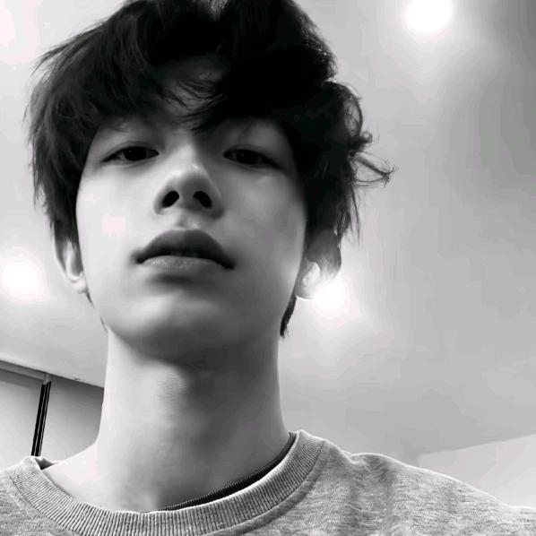 忧郁柠檬🍋.