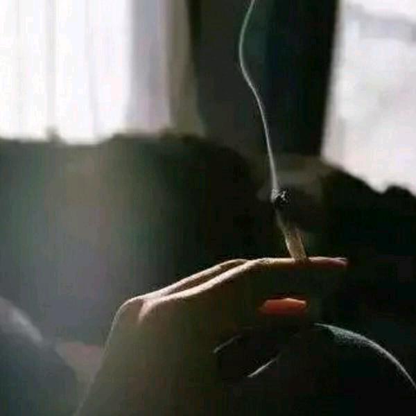 張鸿..
