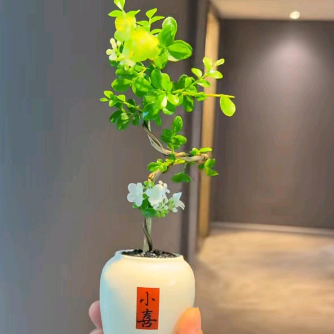 小喜严选