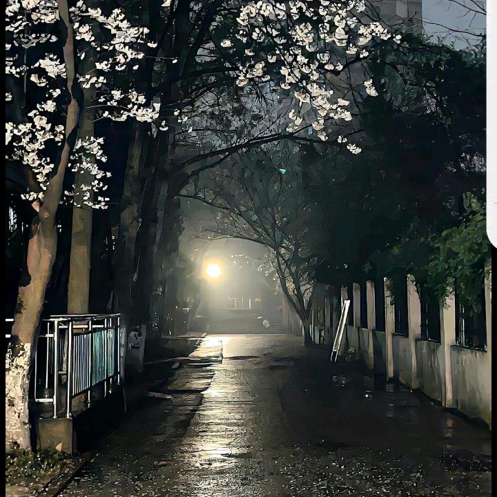 魏浩楠