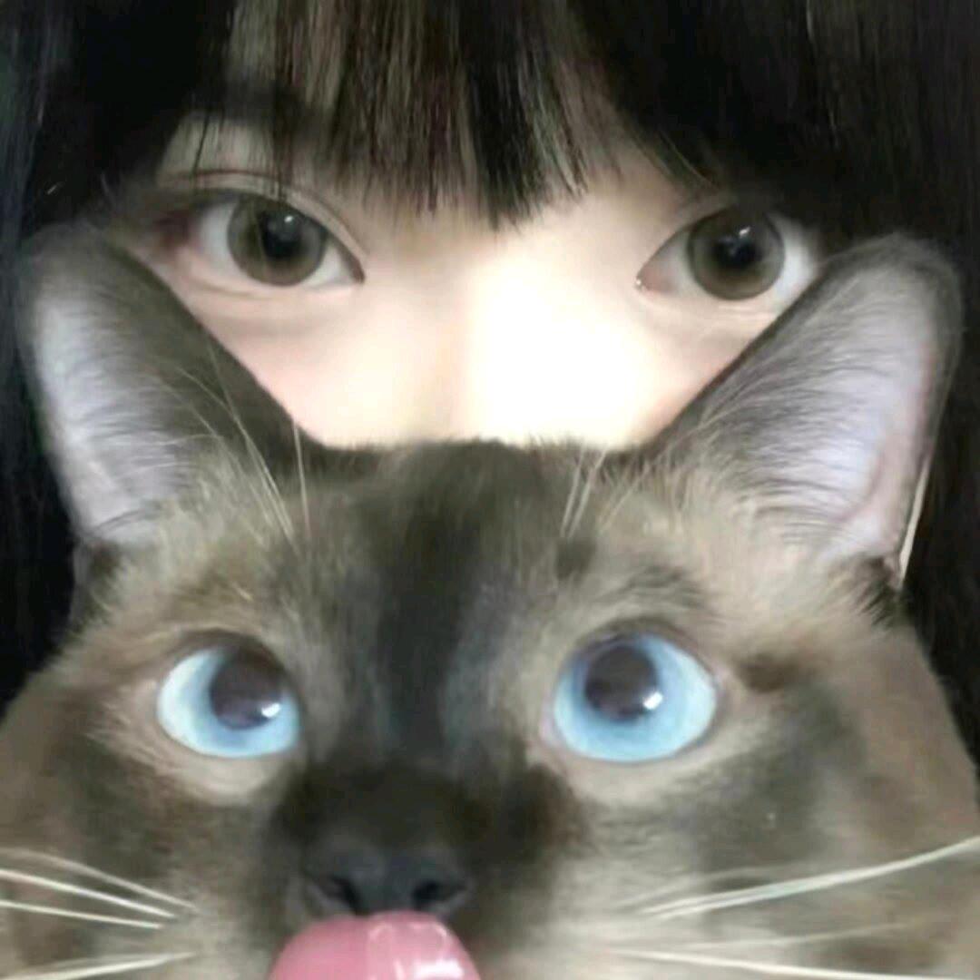 ①个达不溜