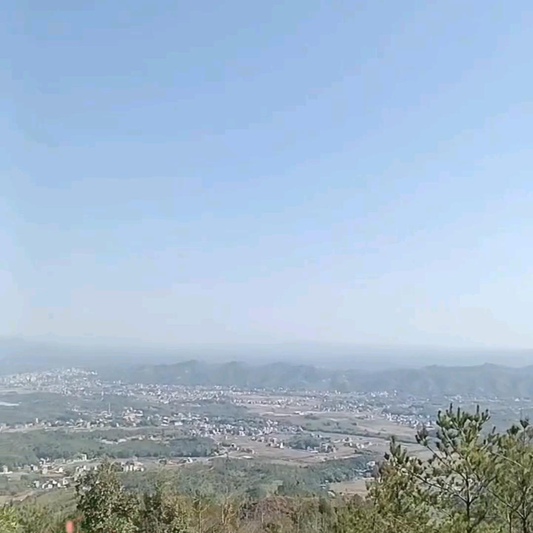 艺歌