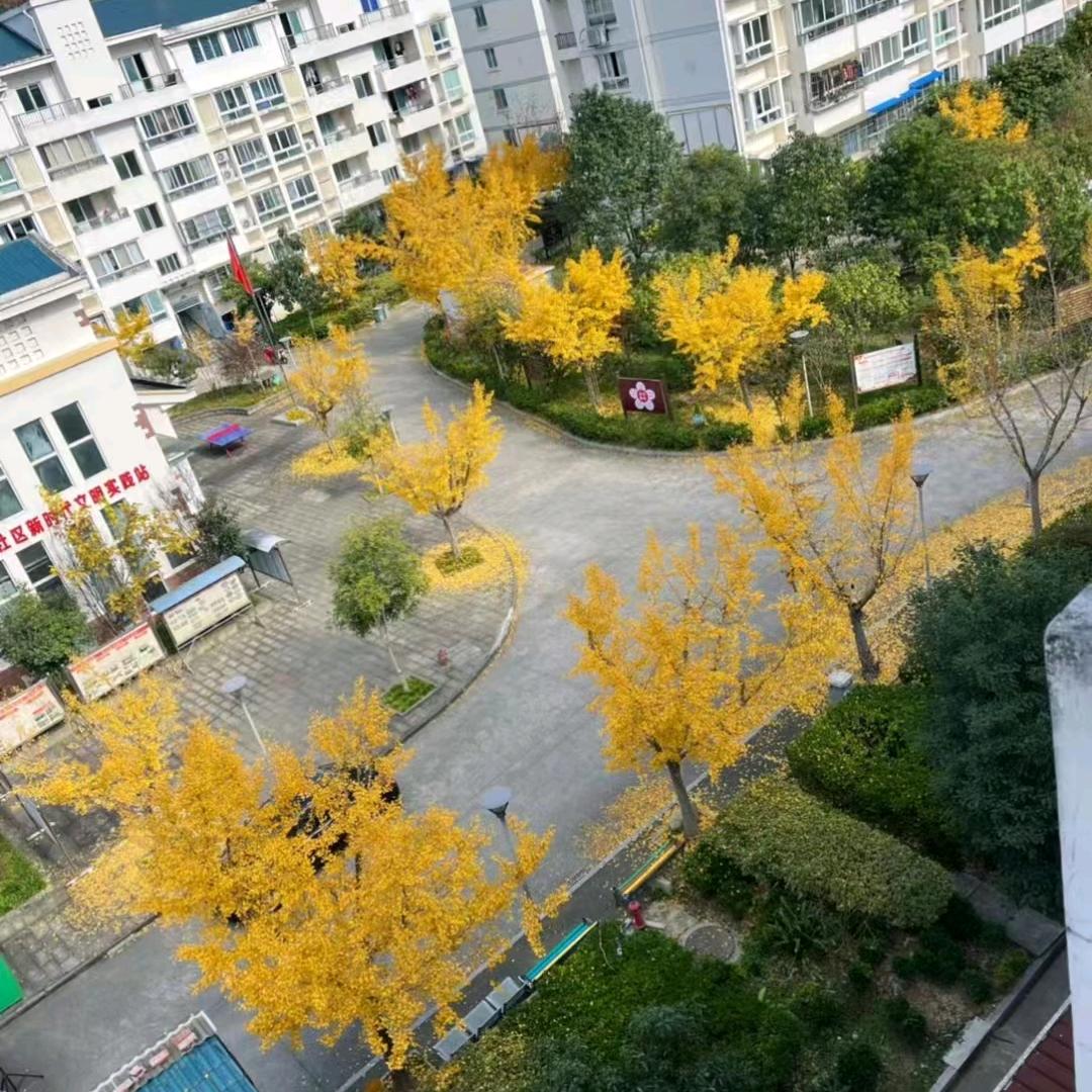 《沉默不语》