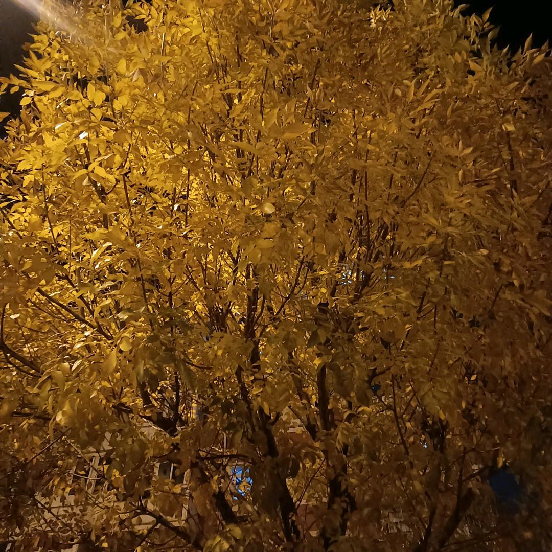 高价回收金银   加工