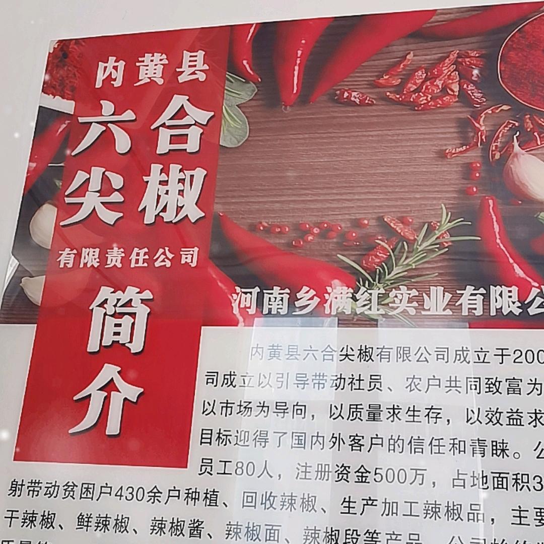 袁哥