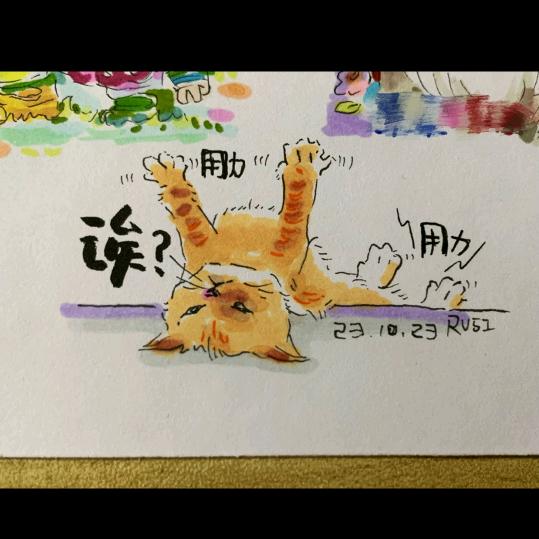 猪猪女孩