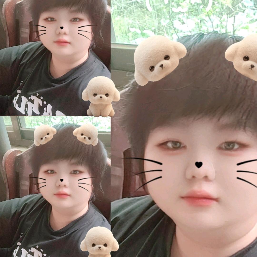微笑的小燕子