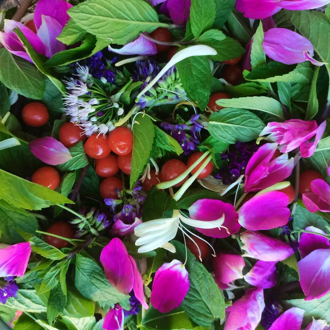 大葫芦无水酵素