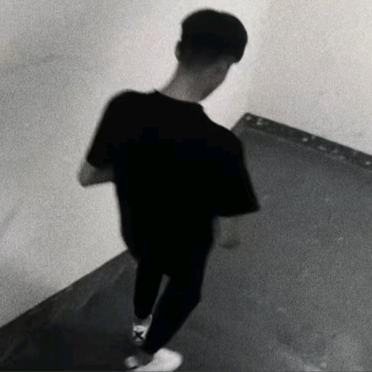 情笺.