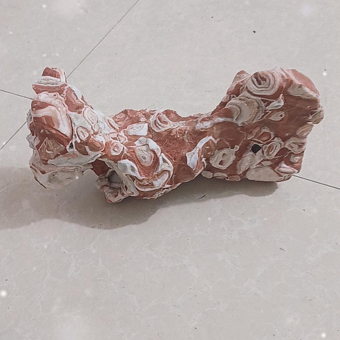 爱拼才会赢