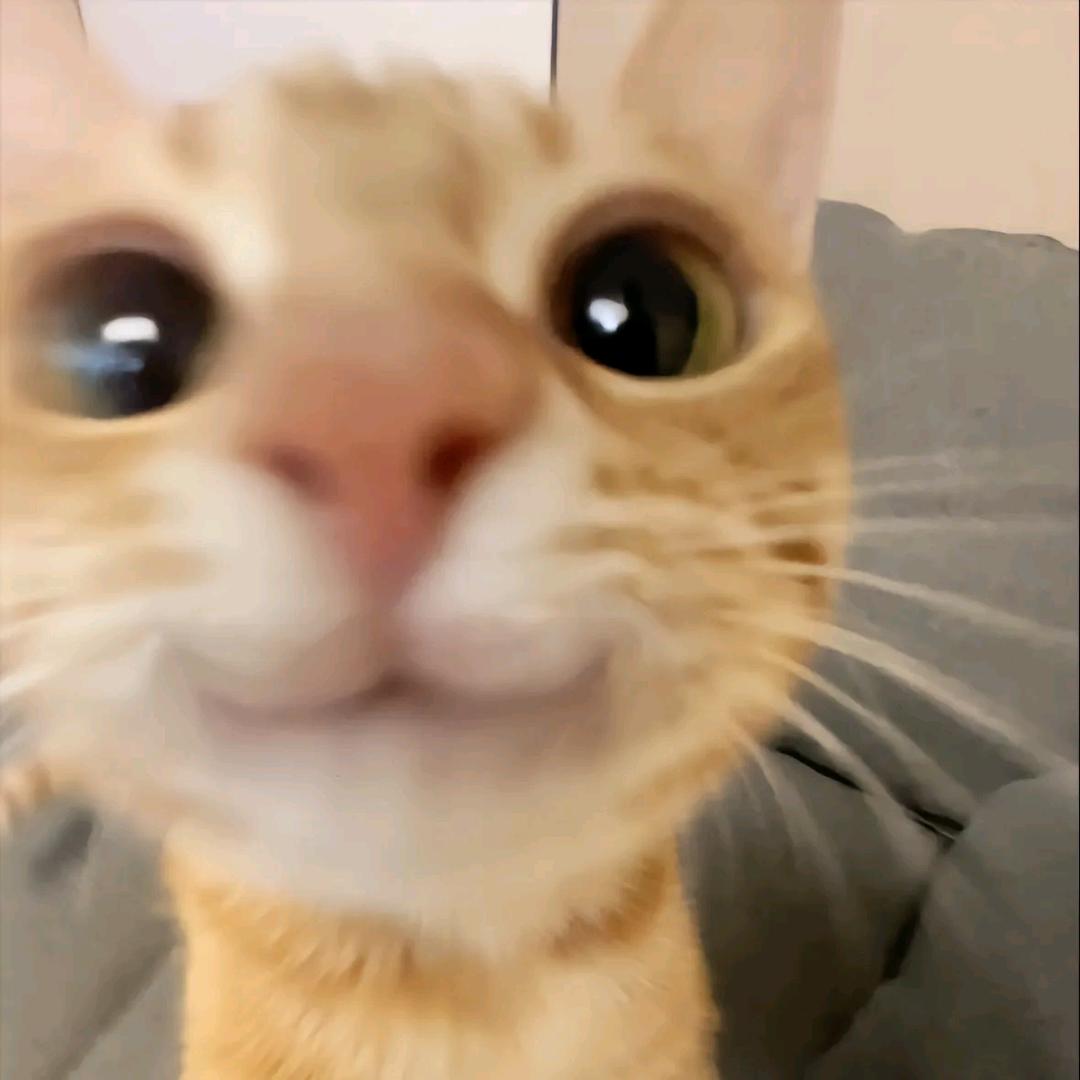 栗子梨