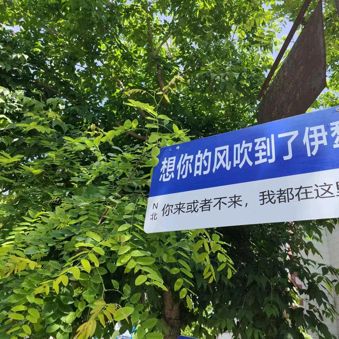 真诚相待