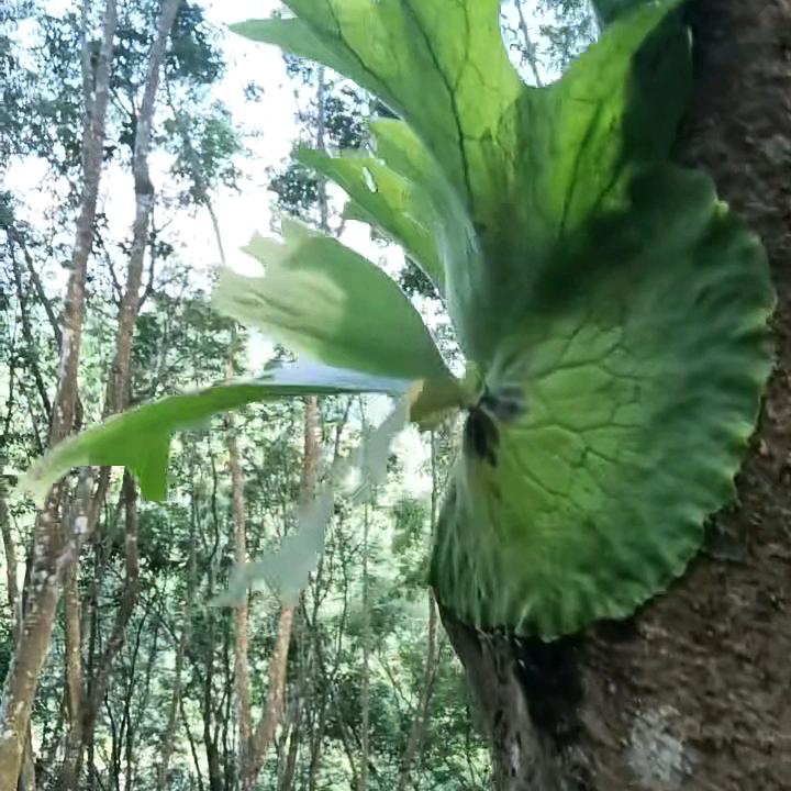 东升在起