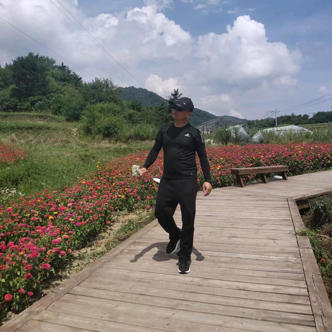 西安城亿林园林绿化有限公司