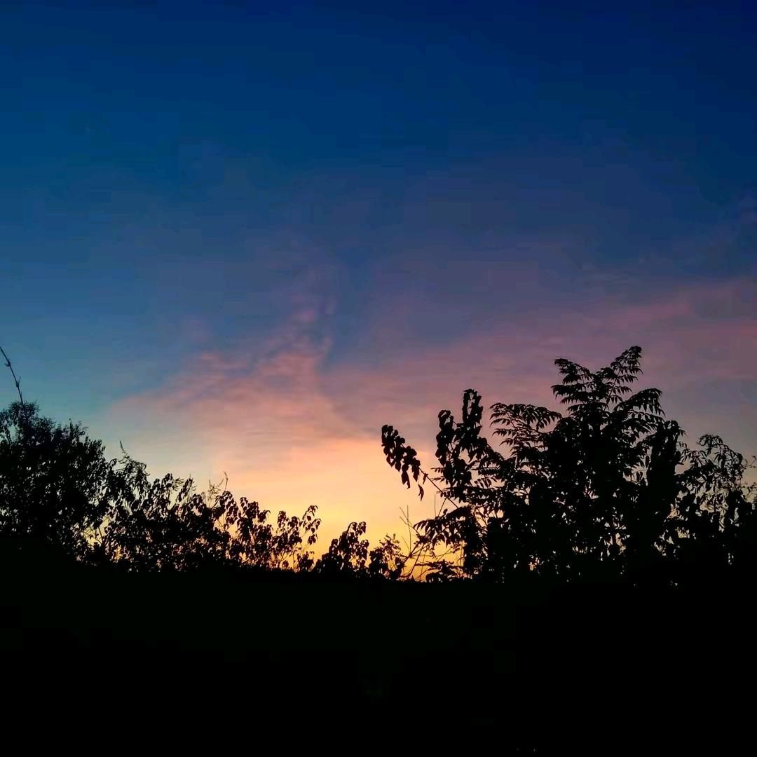 城北小刘