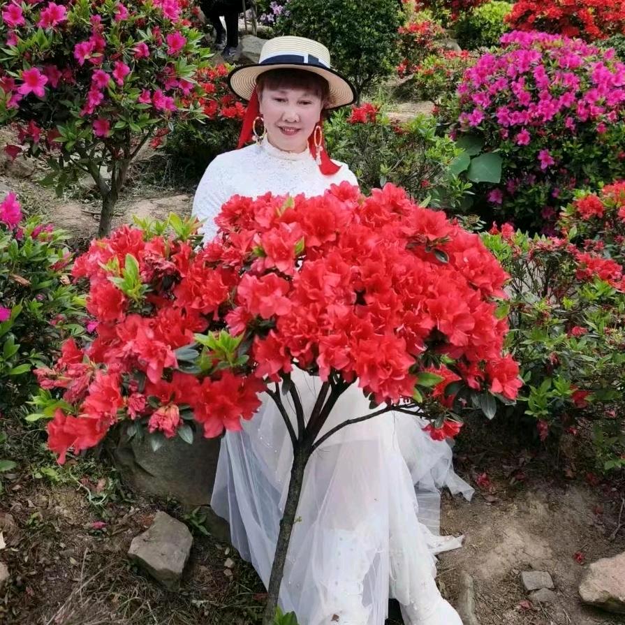 杨三妹（永川人）