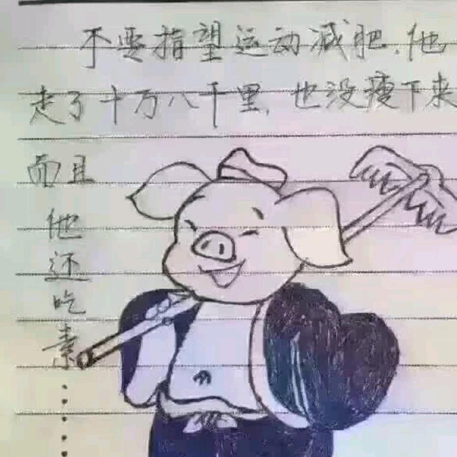 耗子扛刀，满街找猫