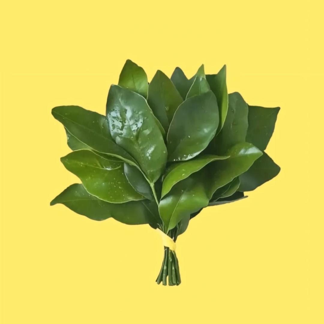 一周困八天。