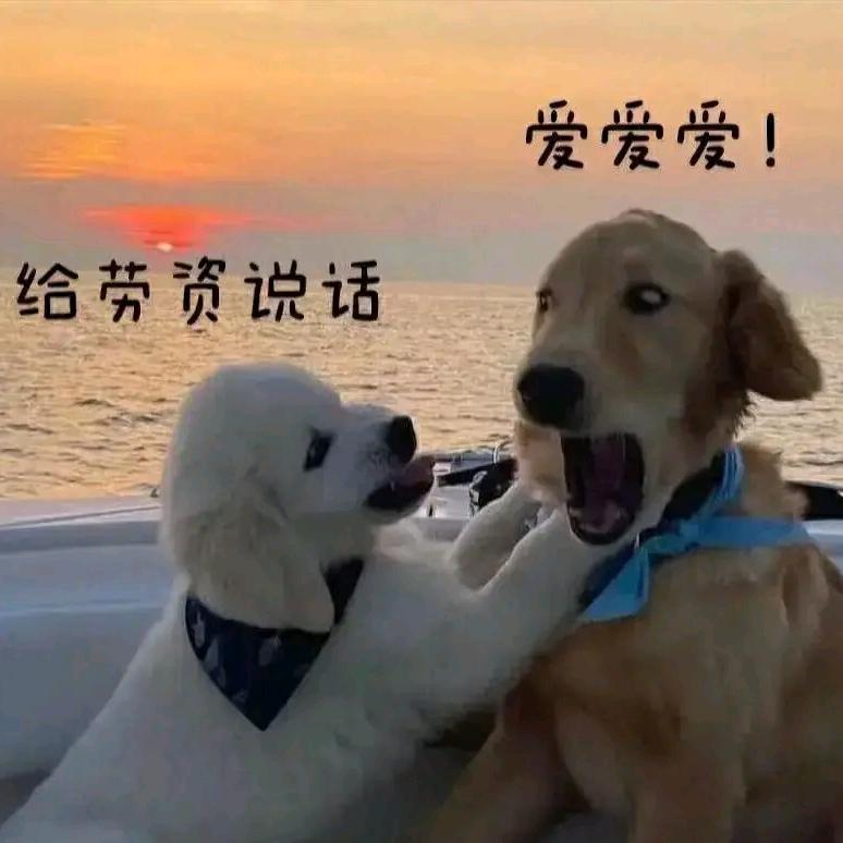 ʚ ɞ