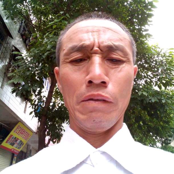风中飞舞