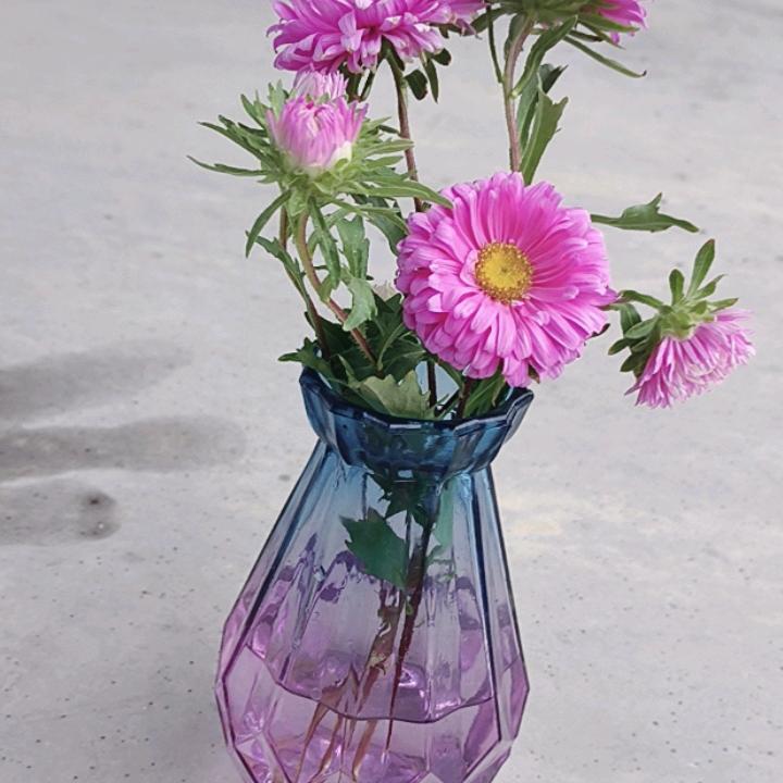 欣欣优选(づ ●─● )づ