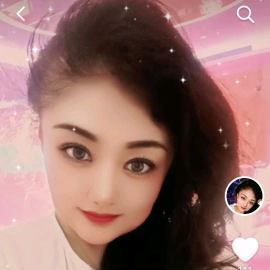 红枫叶O318