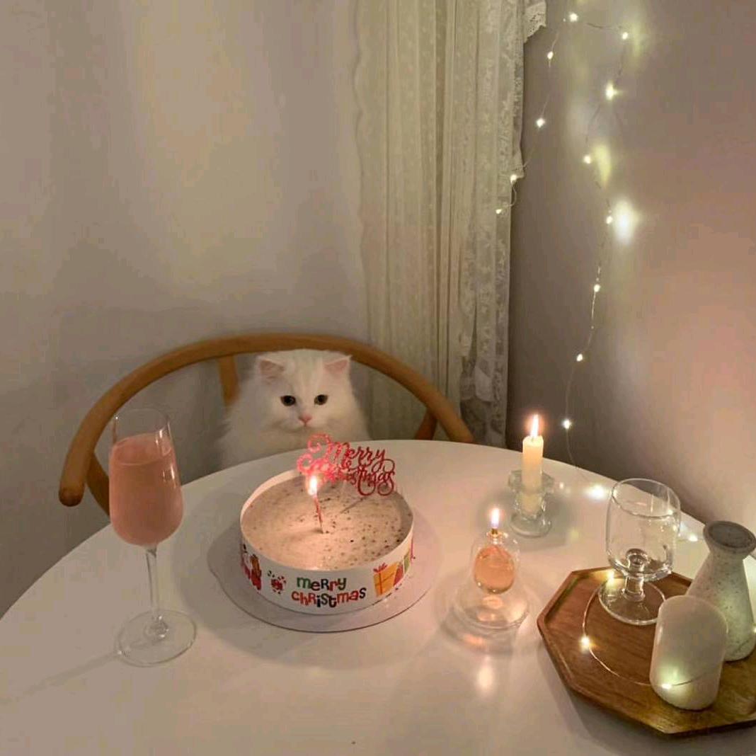 独占.🎈