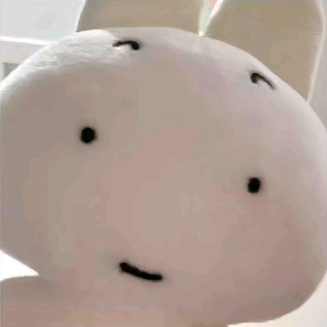 一个很笨的呆瓜