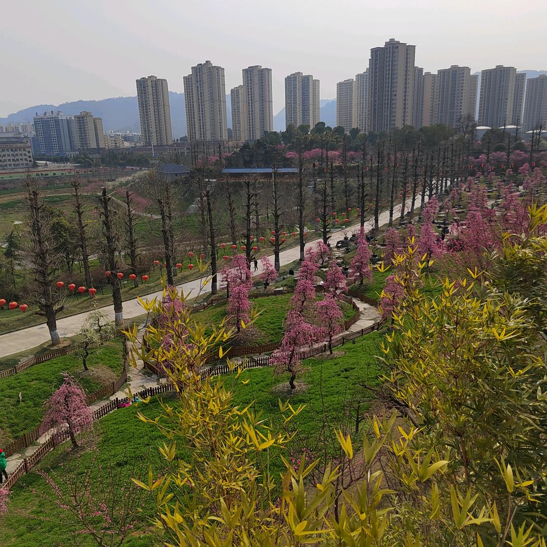 波波茶业范幺妹