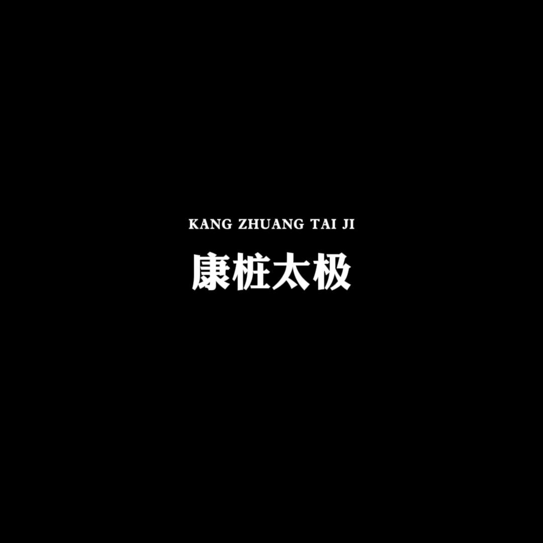 康桩太极