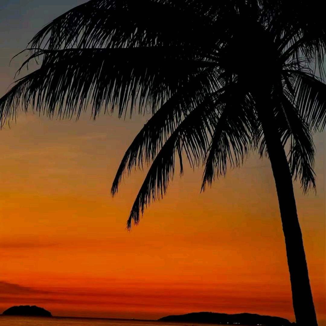 ✺◟(∗坚强∗)◞✺