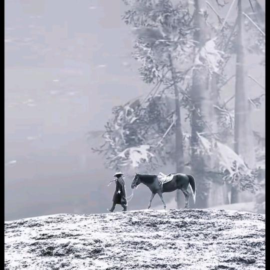 波哥、