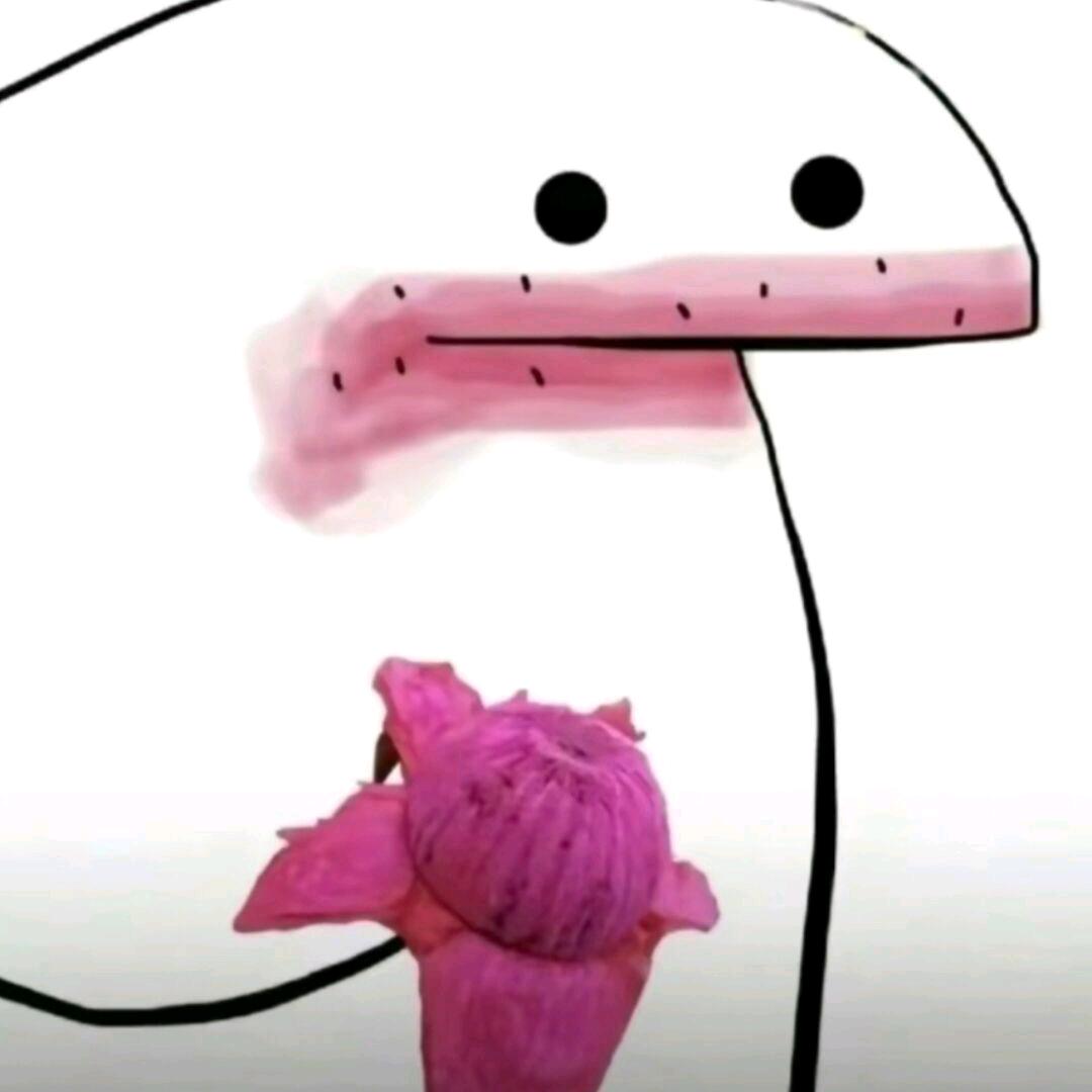 小迪✨