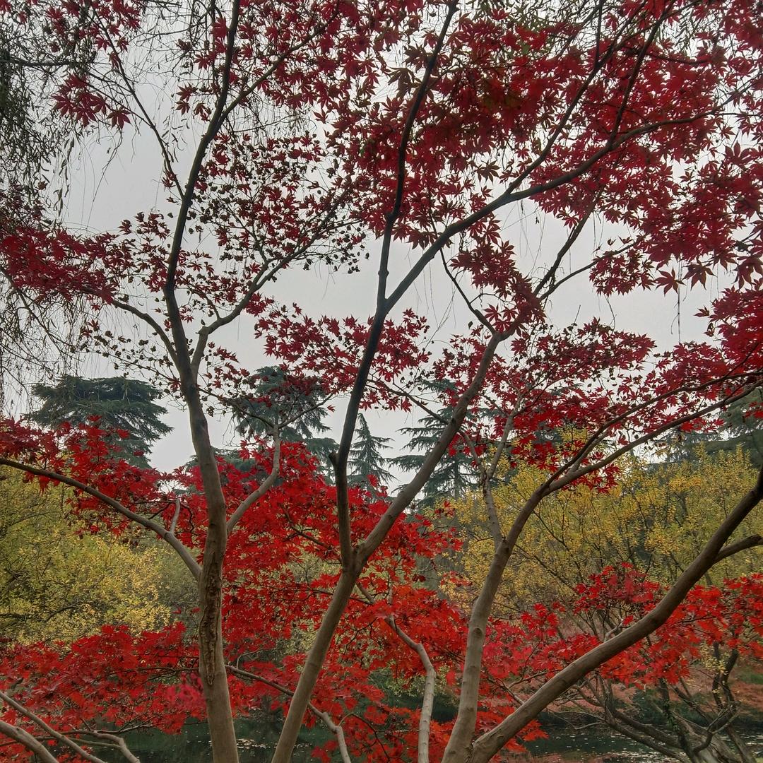 余生