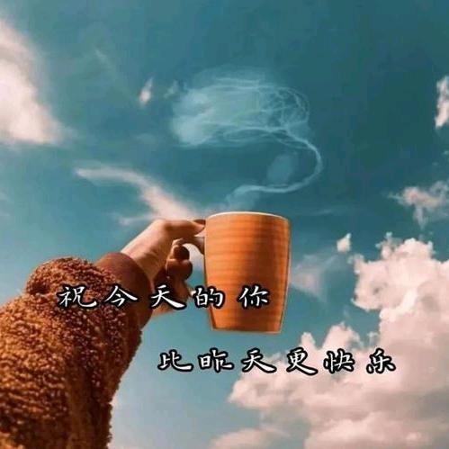 大鹤-抖音