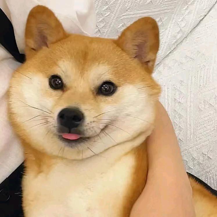 和平精英单枪y