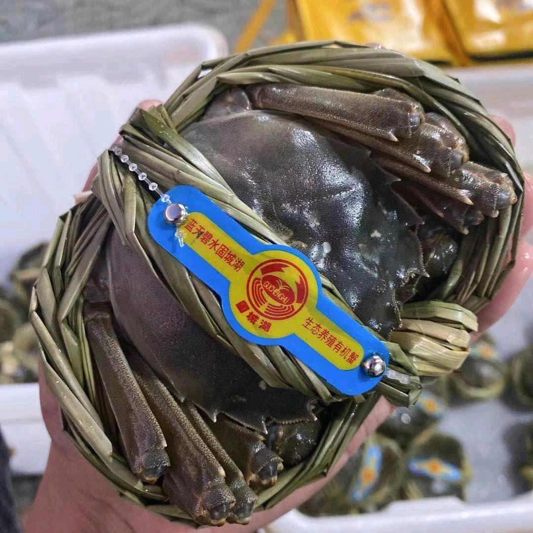 自产自销固城湖大闸蟹