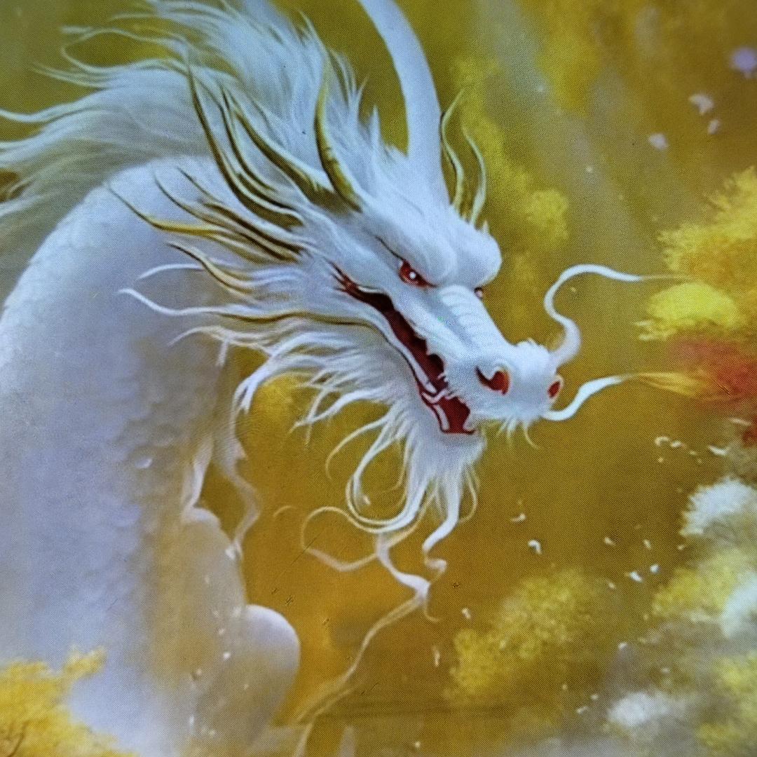 李家的白先生