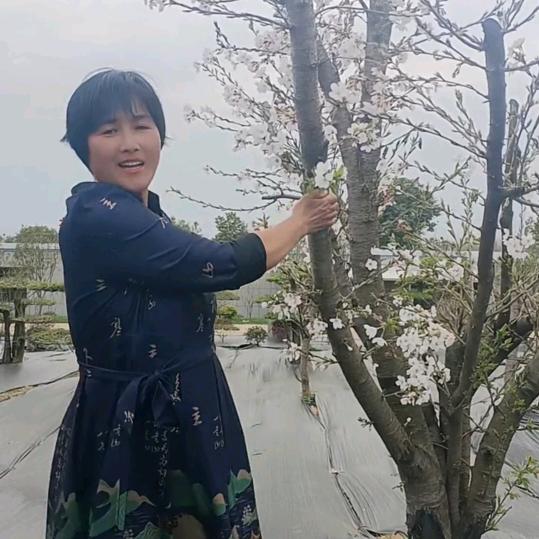 团风养鱼童姐