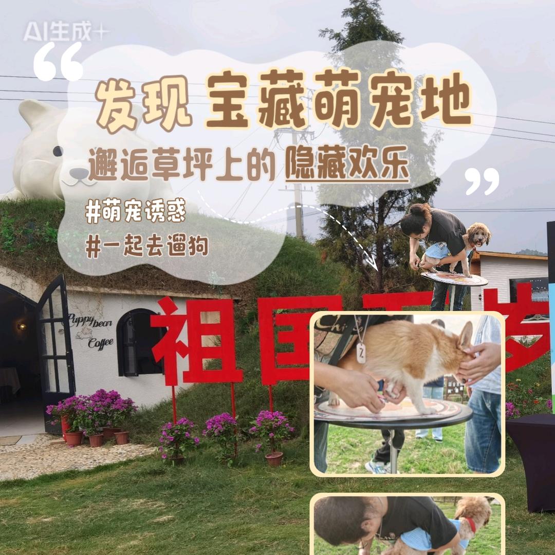 长沙Ym友炜宠物游玩上门服务