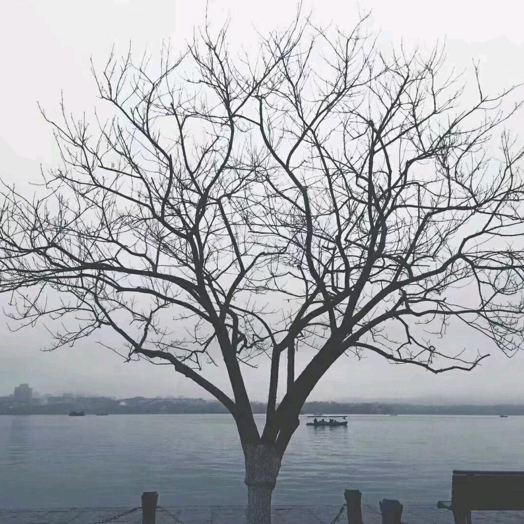 漫漫