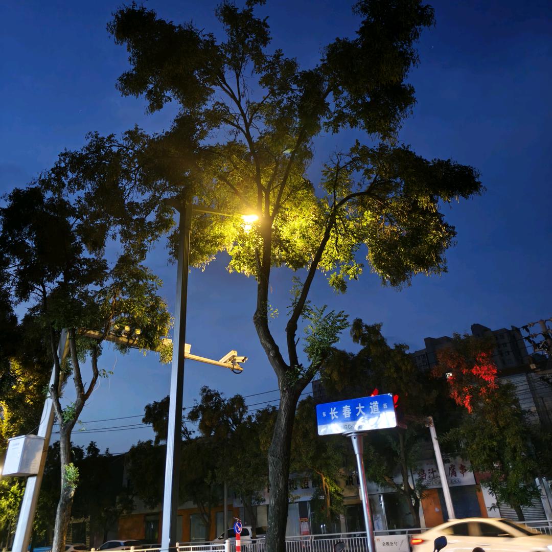 过去时