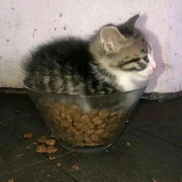 超级小y