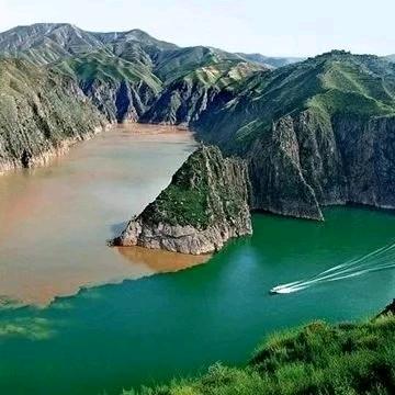 老豆