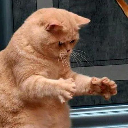 八点半＜暗区突围＞