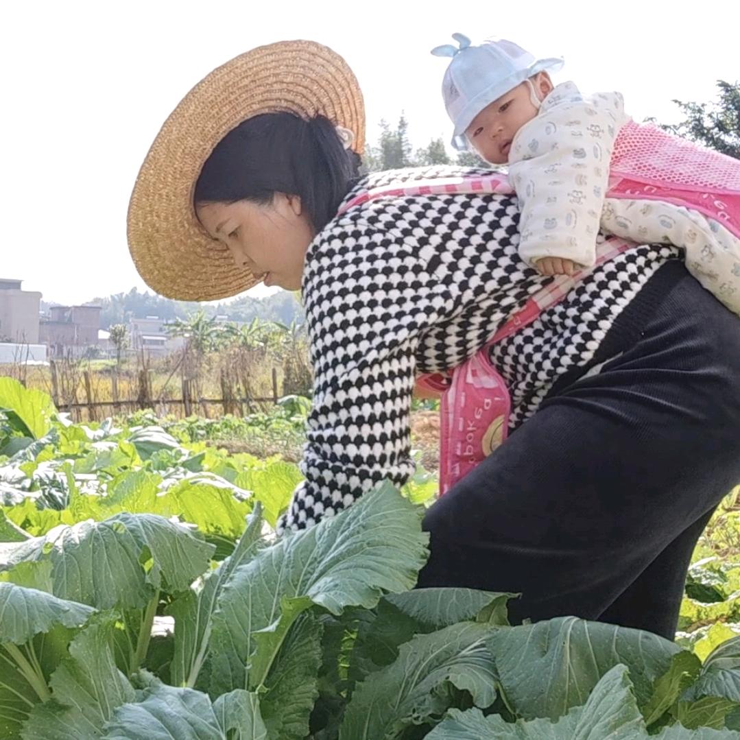清欢的农村日记