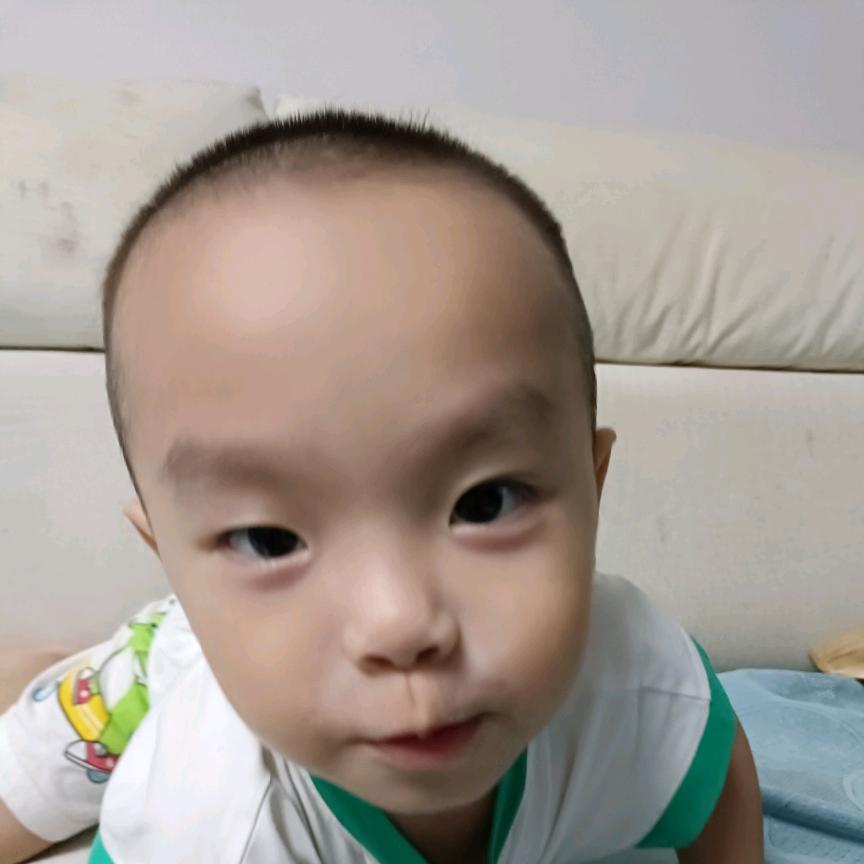 芮芮毁灭世界