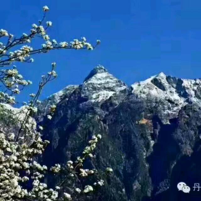 马上1234